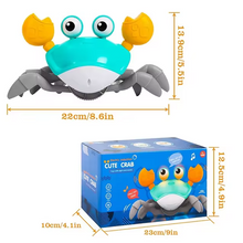 Cargar imagen en el visor de la galería, Juguete interactivo Cangrejo bailarín